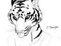 cs-tiger-sketch-sm.jpg